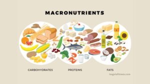 Read more about the article Macronutrients 101: Protein, Carbs, & Fats Guide